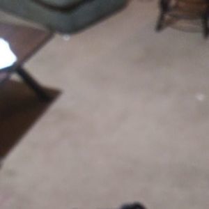 Meet your Posher, Augustus